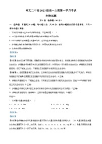 四川省宜宾市兴文第二中学2023-2024学年高一生物上学期10月月考试题（Word版附解析）