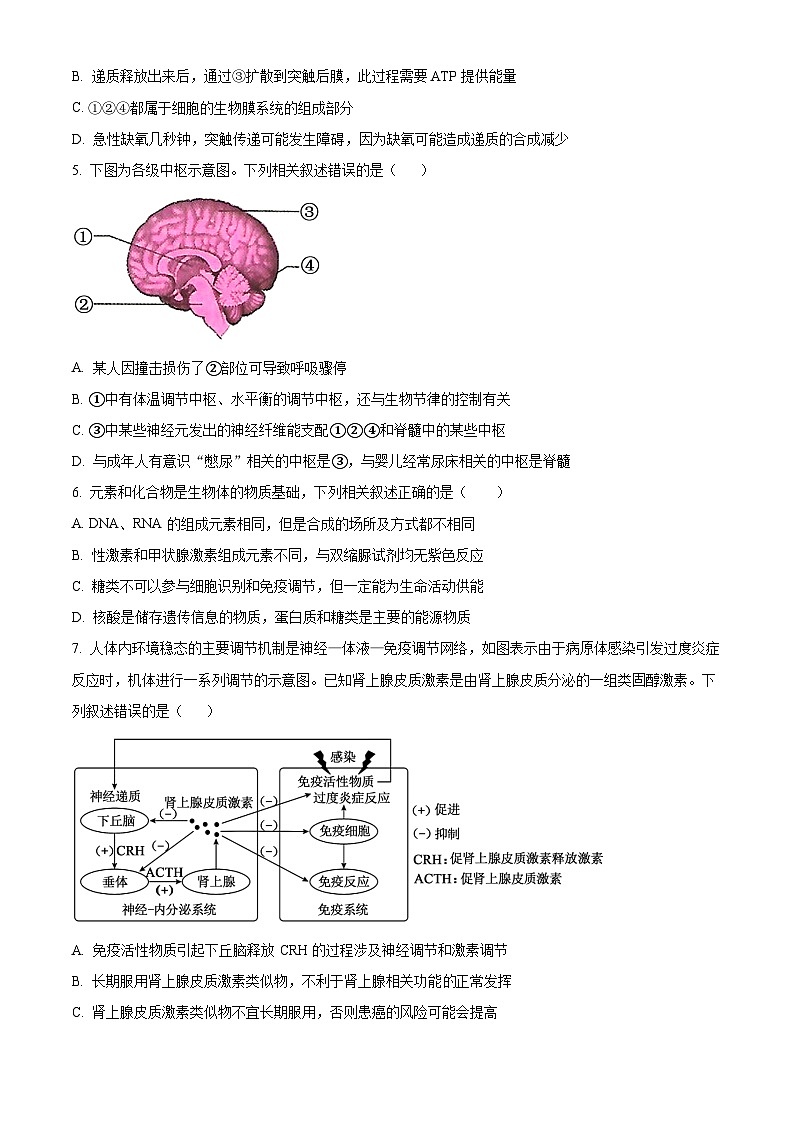 浙江省舟山中学2023-2024学年高二生物上学期10月月考试题（Word版附解析）第2页