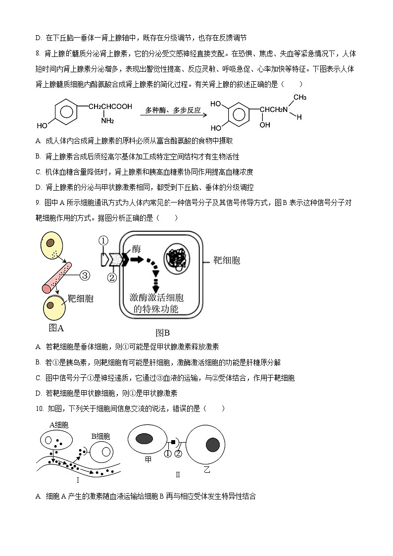 浙江省舟山中学2023-2024学年高二生物上学期10月月考试题（Word版附解析）第3页