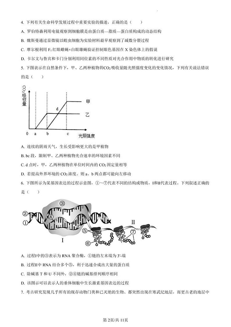 精品解析：广东省四校联考2023-2024学年高三10月月考生物试题（02