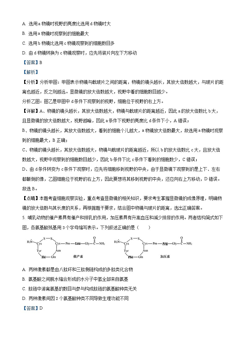 安徽省安庆市第一中学2022-2023学年高一生物上学期期中考试试题（Word版附解析）03
