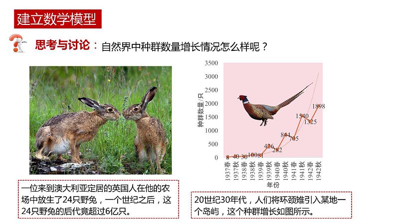 第二节 《种群数量的变化》PPT课件+教案05