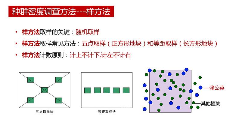 第一节 《种群的数量特征》PPT课件+教案08