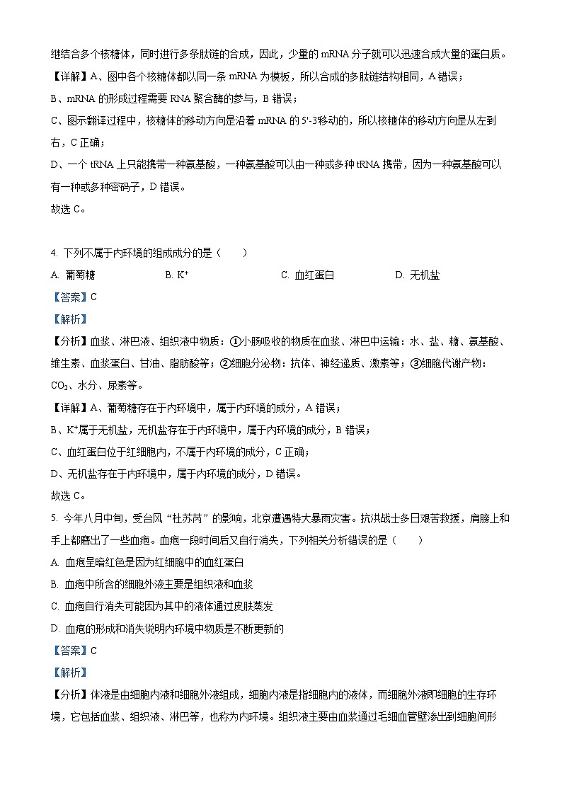 安徽省名校2023-2024学年高二生物上学期10月阶段检测联考试题（Word版附解析）第3页
