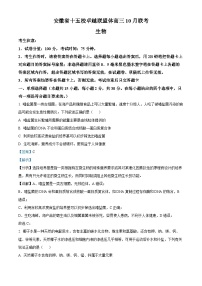 安徽省十五校卓越联盟体2023-2024学年高三生物上学期10月联考试题（Word版附解析）