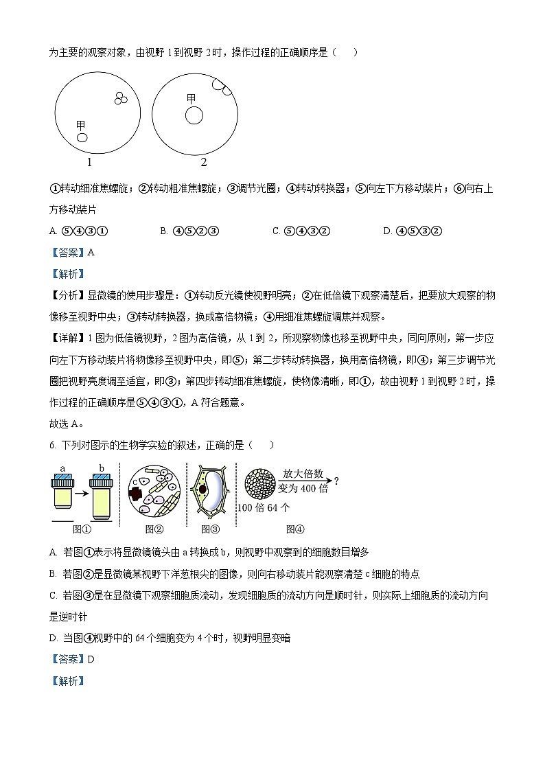 安徽师范大学附属中学2022-2023学年高一生物上学期期中试题（Word版附解析）第3页