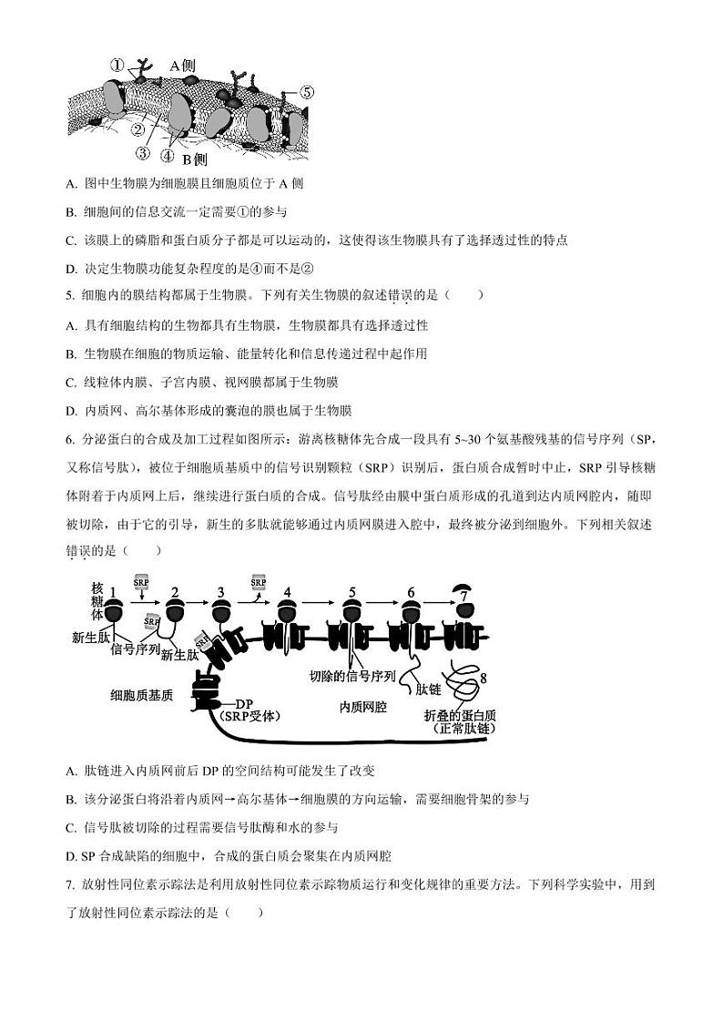 河南省TOP二十名校2024届高三生物上学期调研考试（四）（PDF版附答案）第2页