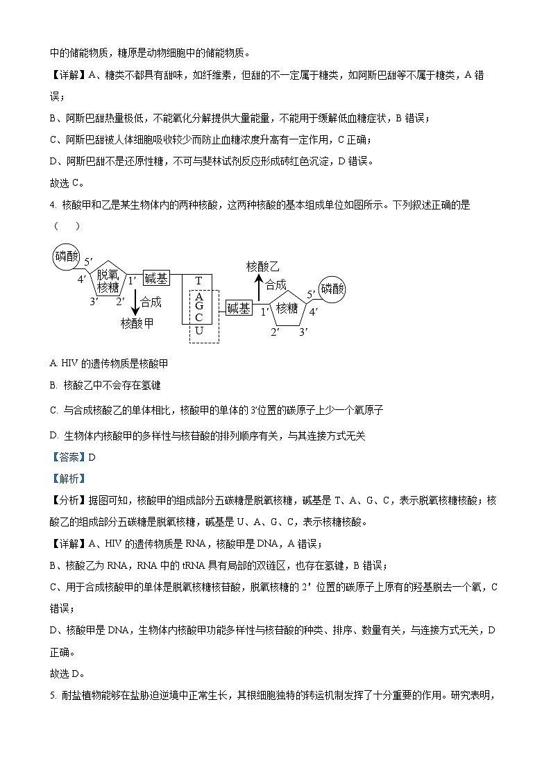重庆市七校2023-2024学年高三生物上学期第一次月考试题（Word版附解析）第3页