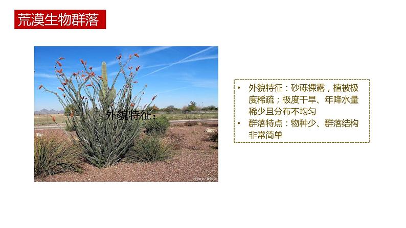 第二节 《群落的主要类型》PPT课件+教案04