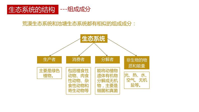 第一节 《生态系统的结构》PPT课件+教案07