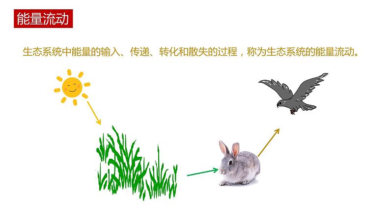 第二节 《生态系统的能量流动》PPT课件+教案03