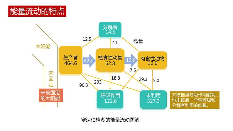 第二节 《生态系统的能量流动》PPT课件+教案08