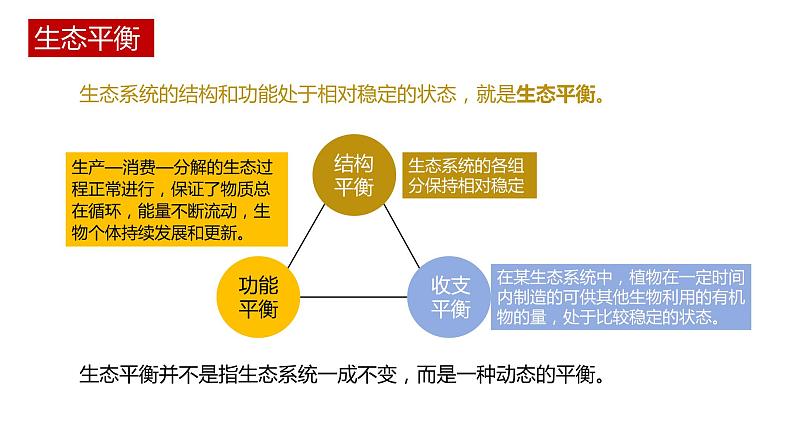 第五节 《生态系统的稳定性》PPT课件+教案03