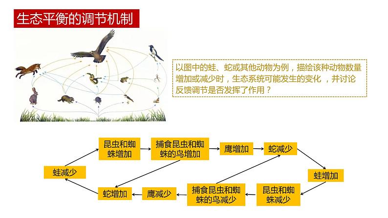 第五节 《生态系统的稳定性》PPT课件+教案07