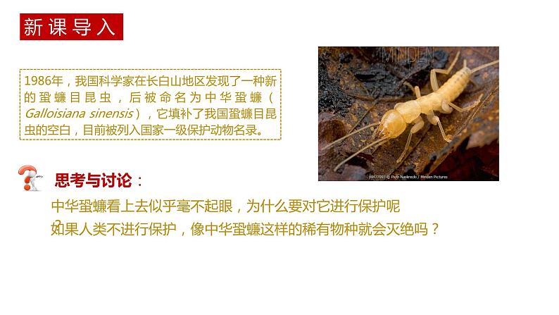 第二节 《生物多样性及其保护》PPT课件+教案02