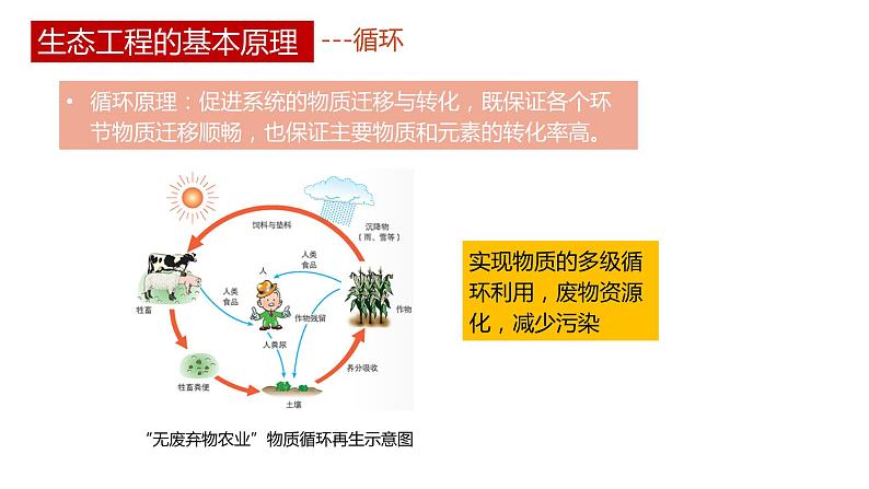 第三节 《生态工程》PPT课件+教案06