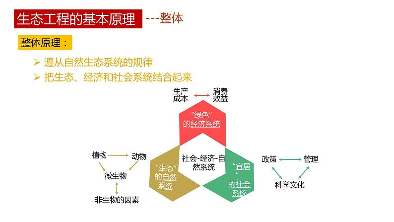 第三节 《生态工程》PPT课件+教案08