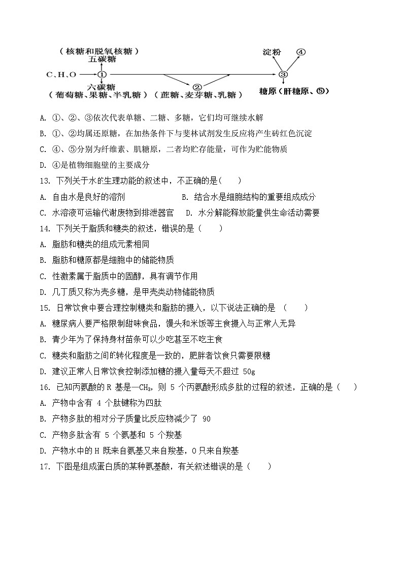 福建省龙岩市上杭县才溪中学2023-2024学年高一上学期10月月考生物试题第3页