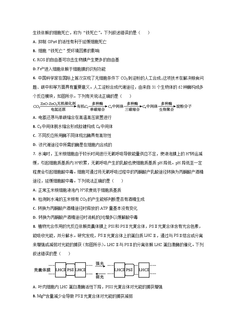 山东省德州市第一中学2023-2024学年高三上学期10月月考生物试题第3页