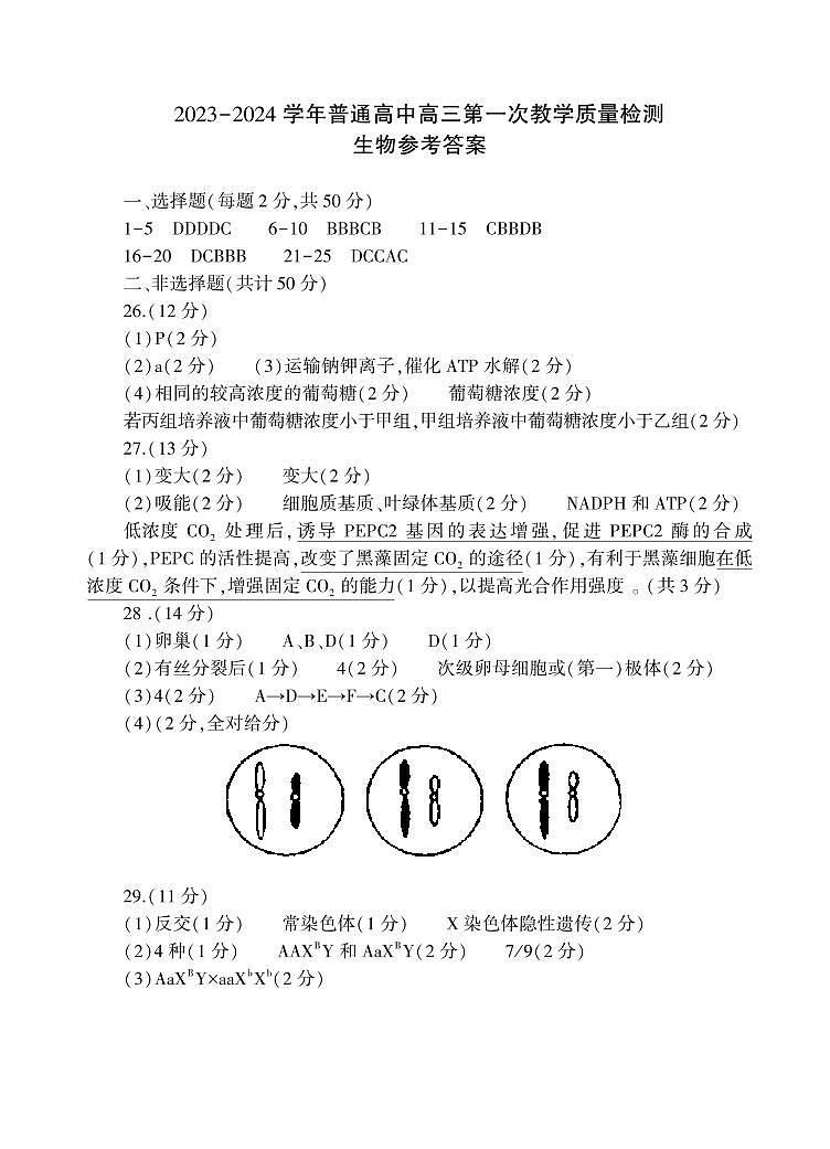 2024信阳高三上学期第一次教学质量检测生物PDF版含答案01