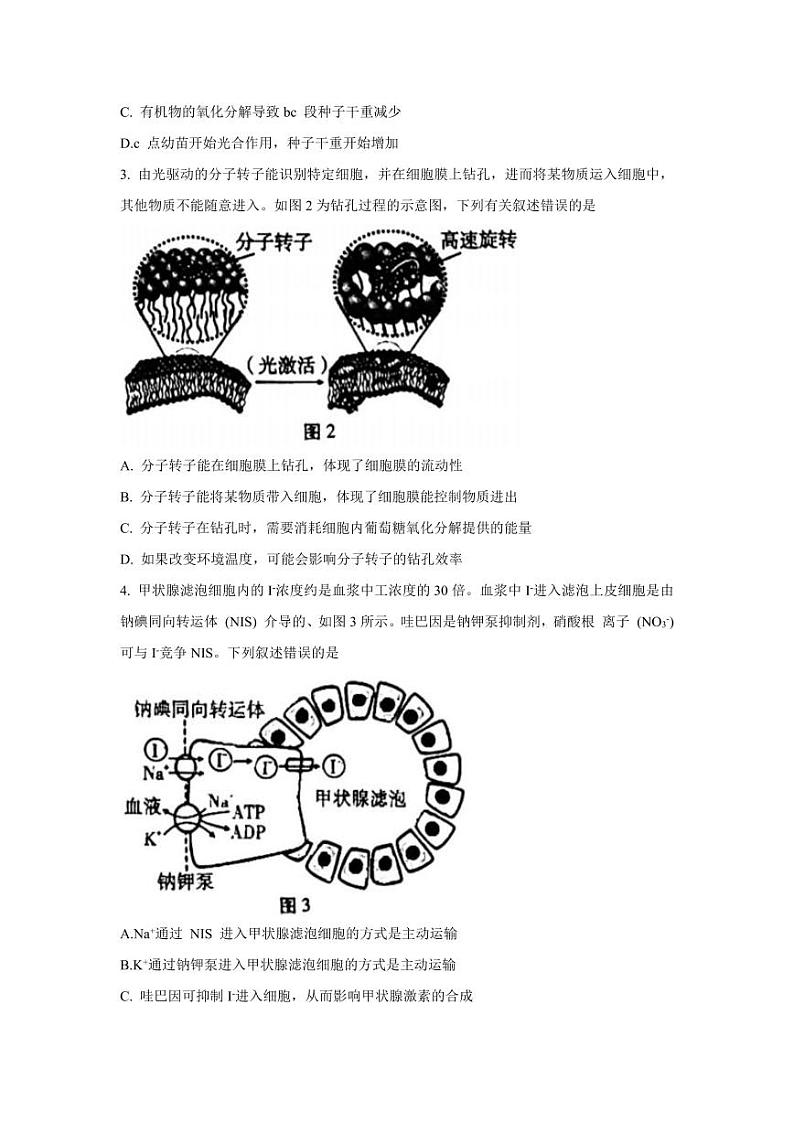 2024重庆市巴蜀中学高三上学期适应性月考卷（三）生物PDF版含解析02