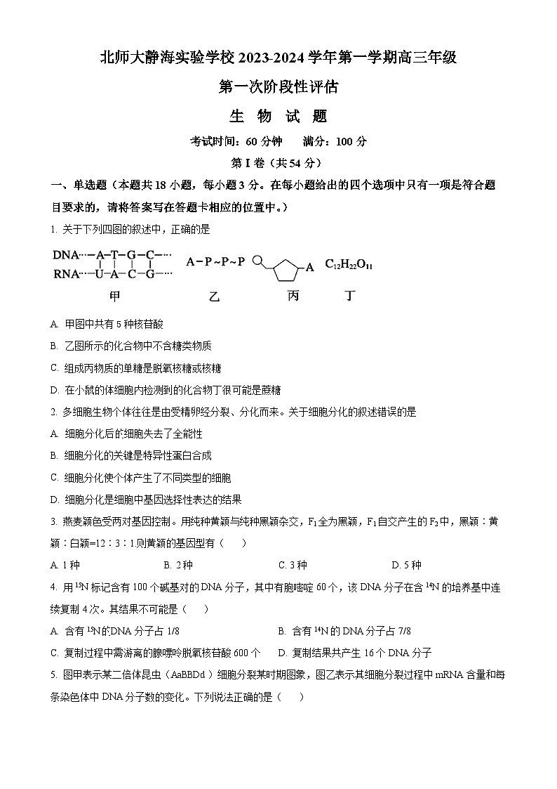 2024天津静海区北师大实验学校高三上学期第一阶段评估试题生物含解析第1页