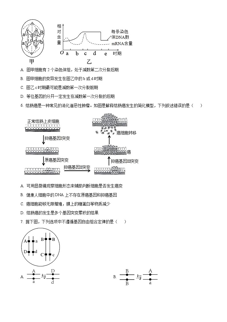 2024天津静海区北师大实验学校高三上学期第一阶段评估试题生物含解析第2页