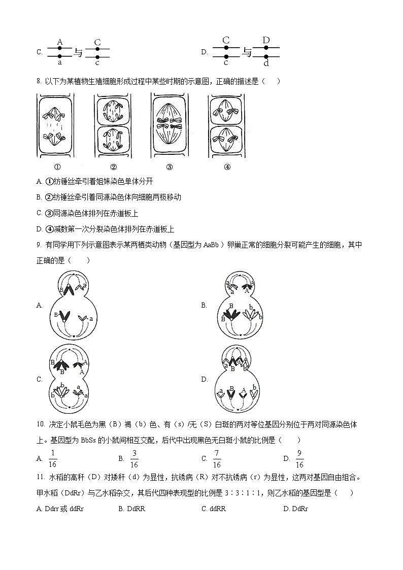 2024天津静海区北师大实验学校高三上学期第一阶段评估试题生物含解析第3页
