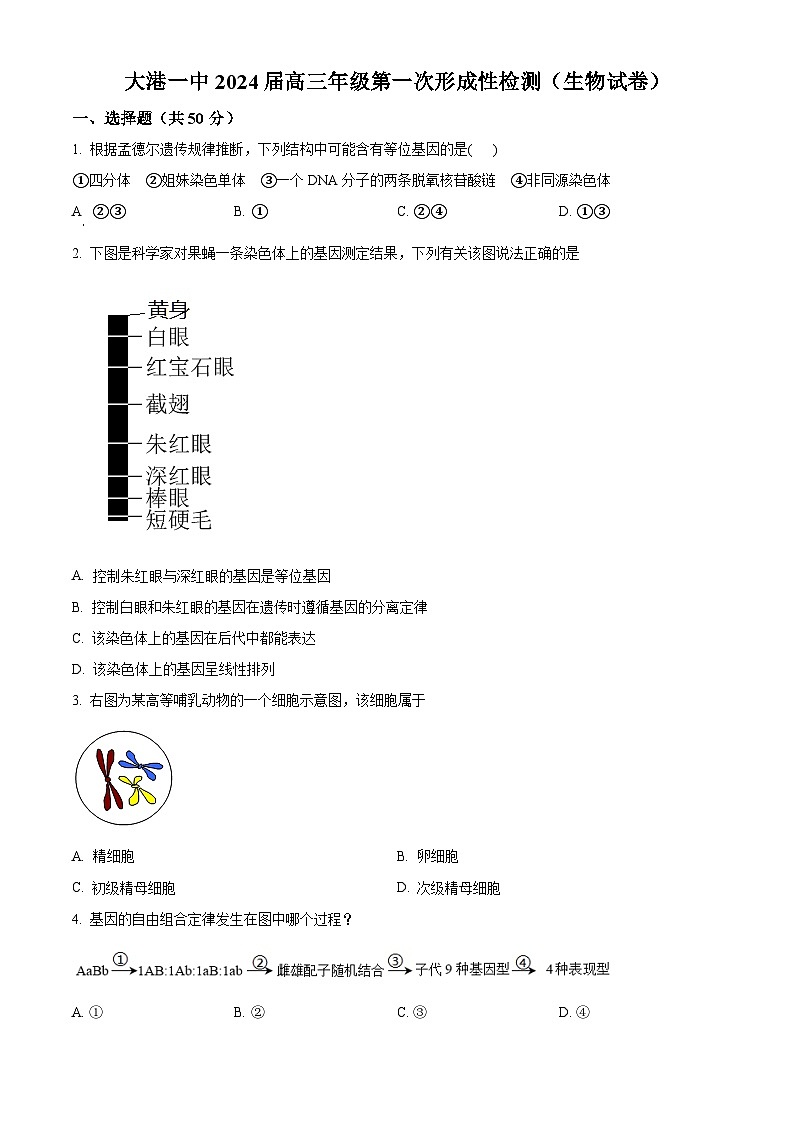2024天津滨海新区大港一中高三上学期第一次月考试题生物含解析第1页