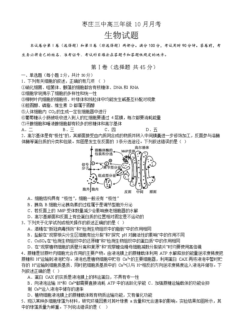 山东省枣庄市第三中学2023-2024学年高三上学期10月月考生物试题及答案第1页