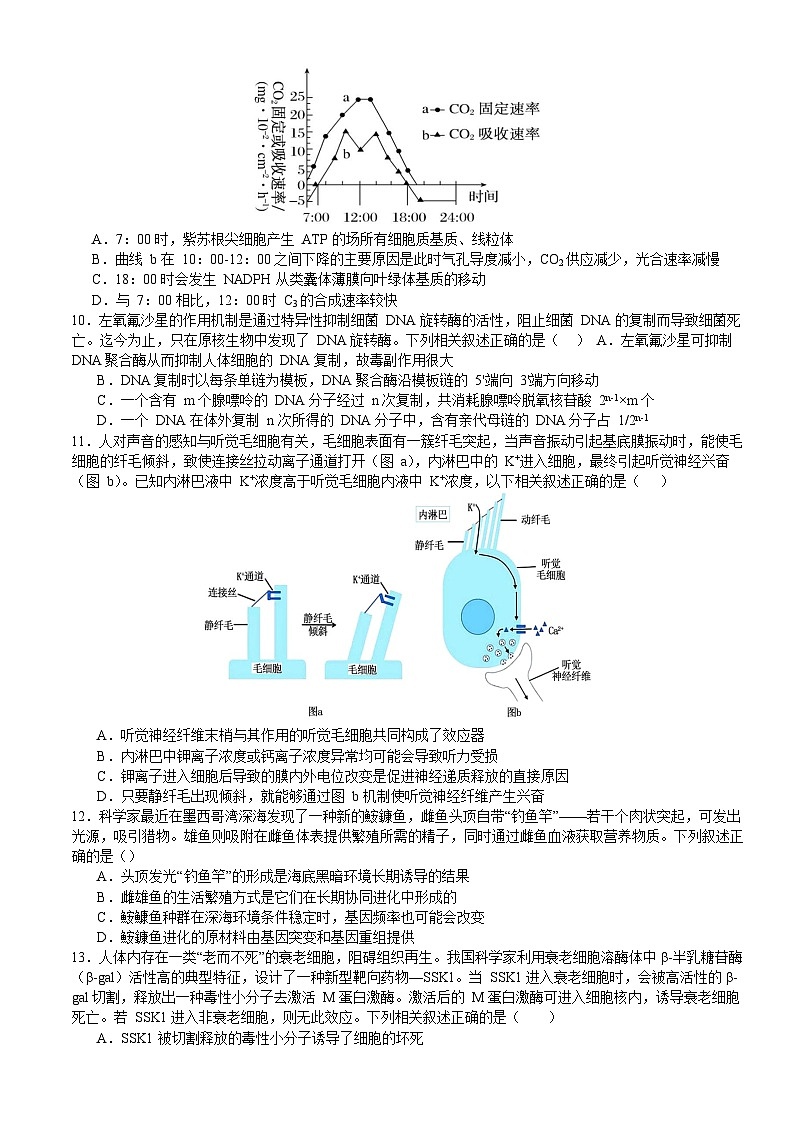 山东省枣庄市第三中学2023-2024学年高三上学期10月月考生物试题及答案第3页