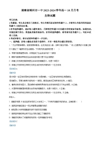 湖南省郴州市第一中学2023-2024学年高一生物上学期10月月考试题（Word版附解析）