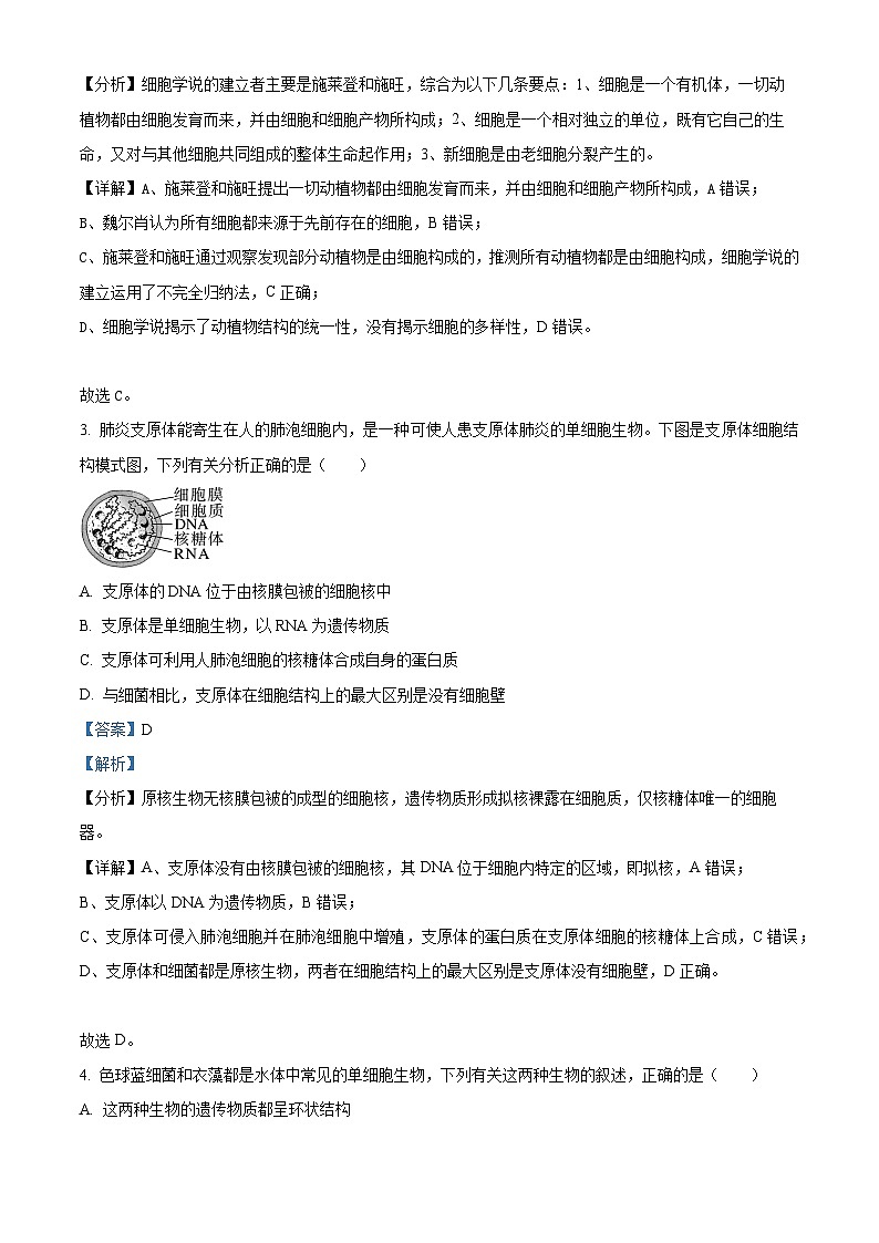 湖南省郴州市第一中学2023-2024学年高一生物上学期10月月考试题（Word版附解析）第2页