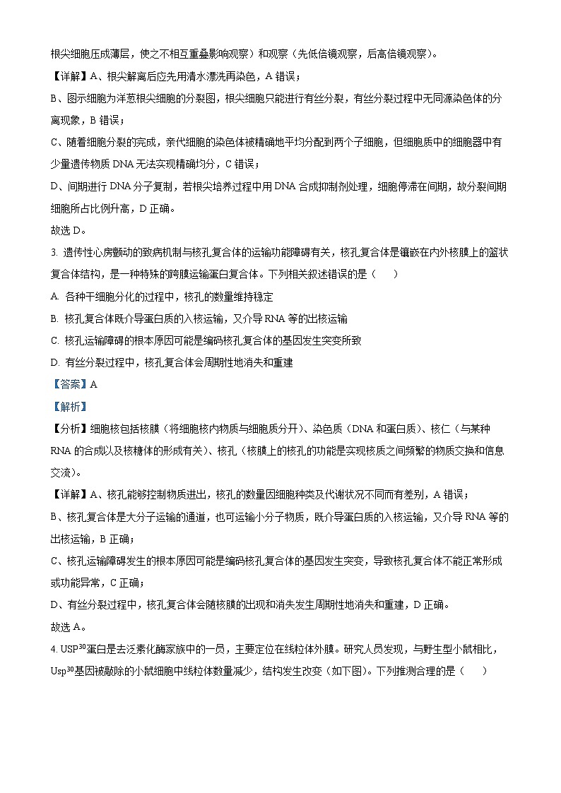 湖南省衡阳市第八中学2023-2024学年高三生物上学期第二次阶段考试试题（Word版附解析）第2页
