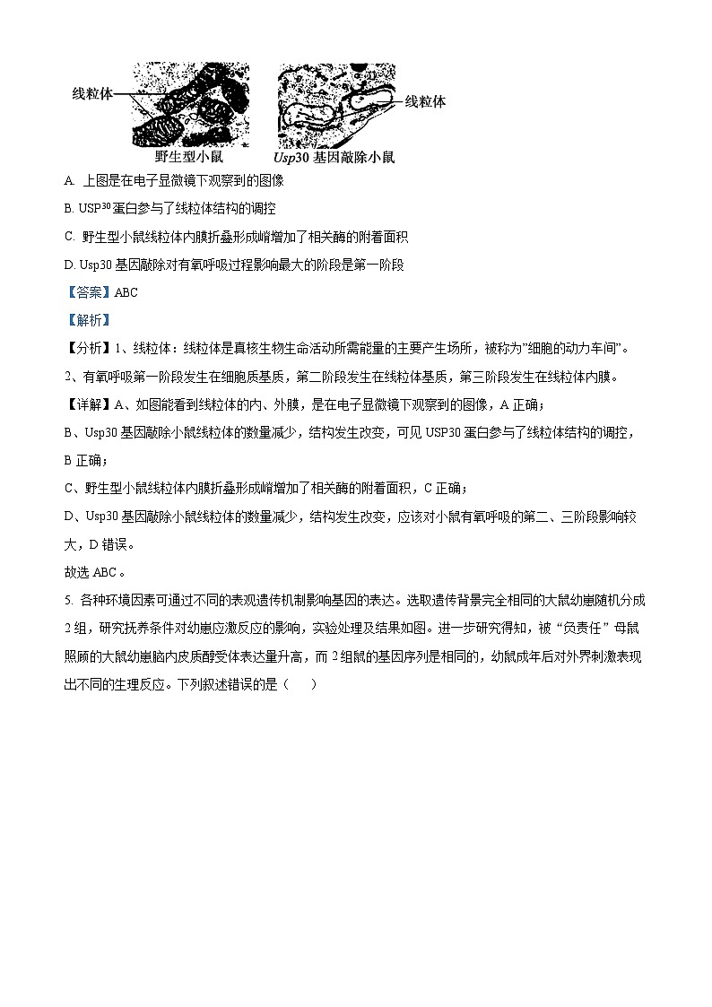 湖南省衡阳市第八中学2023-2024学年高三生物上学期第二次阶段考试试题（Word版附解析）第3页