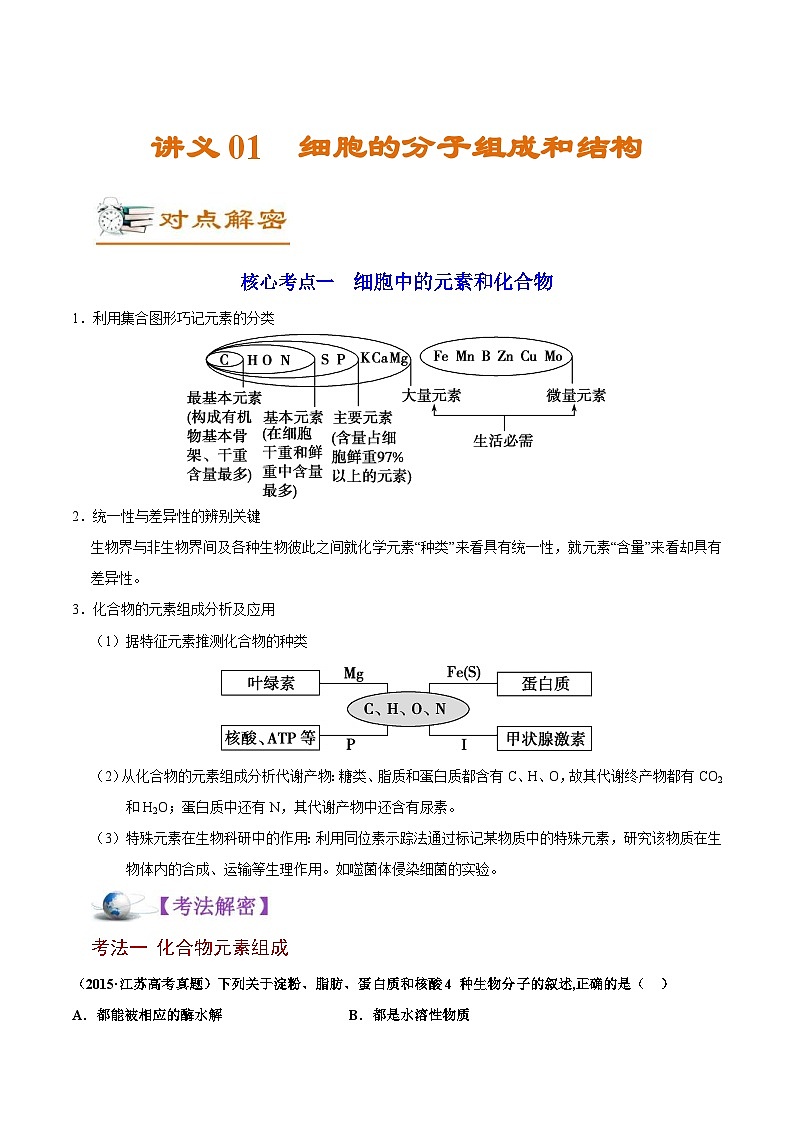新高考生物二轮复习讲义01 细胞的分子组成和结构（含解析）01