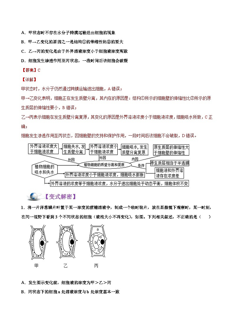 新高考生物二轮复习讲义03 物质跨膜运输的实例及物质运输的方式（含解析）第3页
