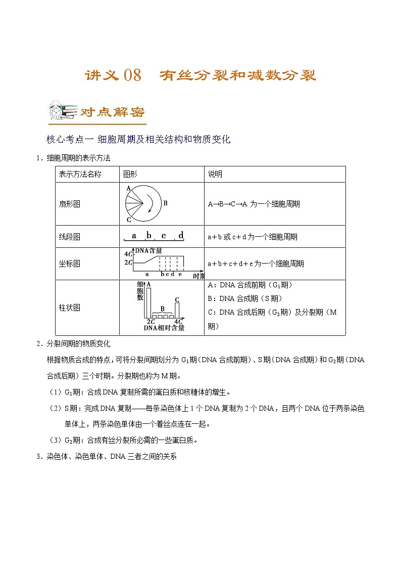 新高考生物二轮复习讲义08 有丝分裂和减数分裂（含解析）第1页