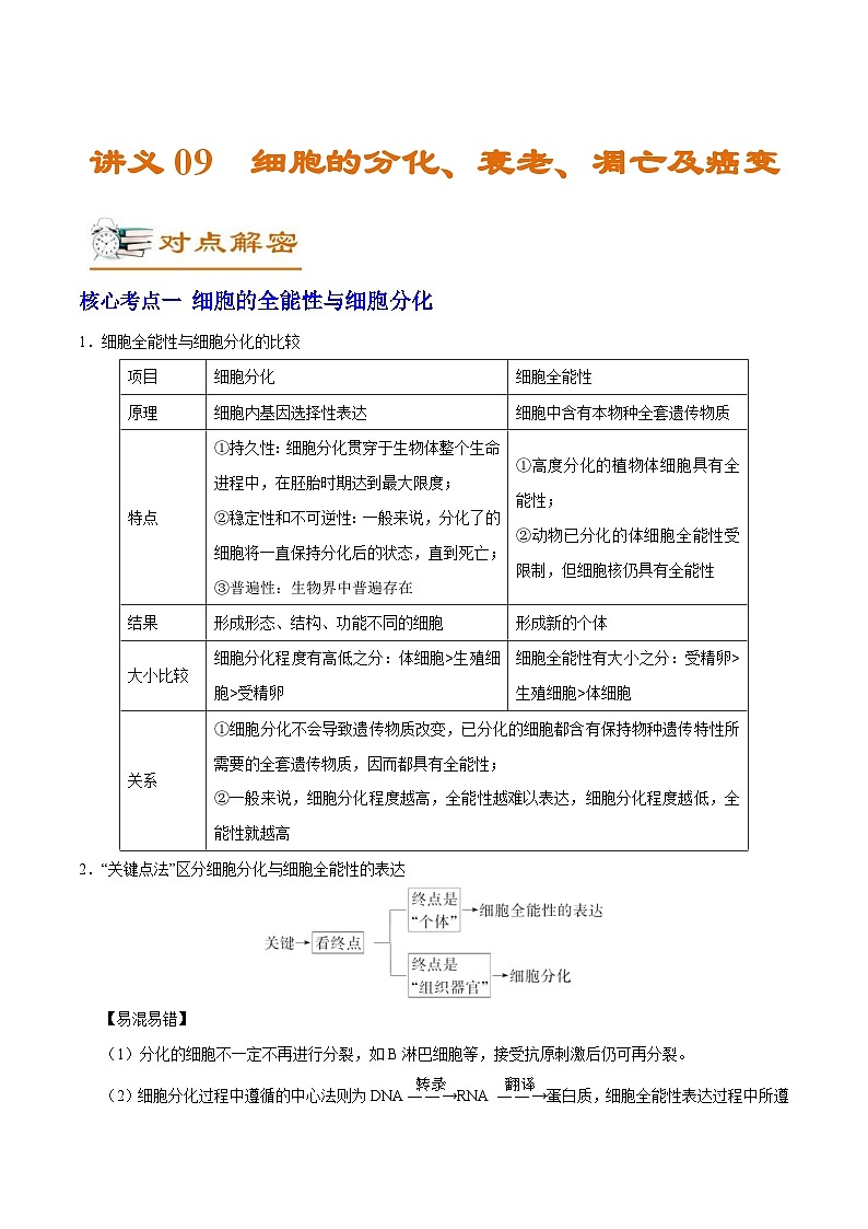 新高考生物二轮复习讲义09 细胞的分化、衰老、凋亡及癌变（含解析）第1页