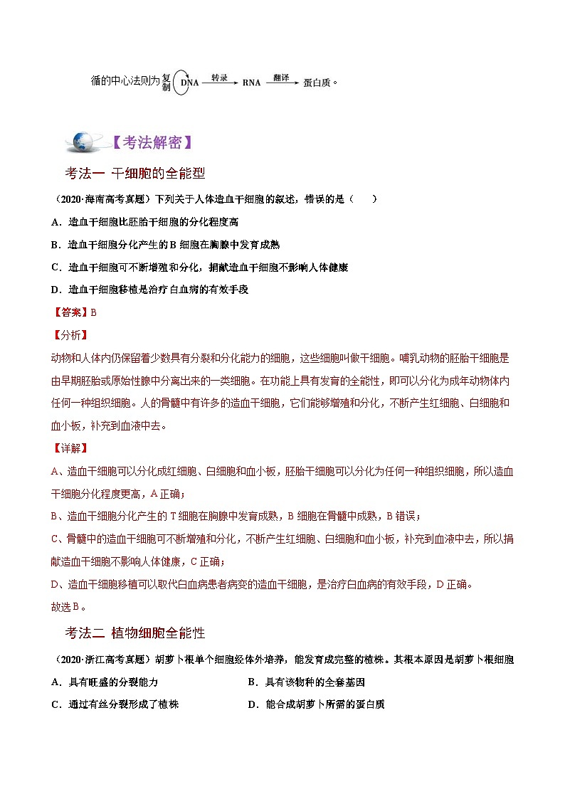 新高考生物二轮复习讲义09 细胞的分化、衰老、凋亡及癌变（含解析）第2页