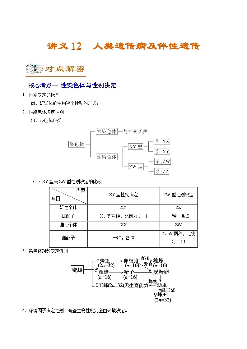 新高考生物二轮复习讲义12 人类遗传病及伴性遗传（含解析）第1页