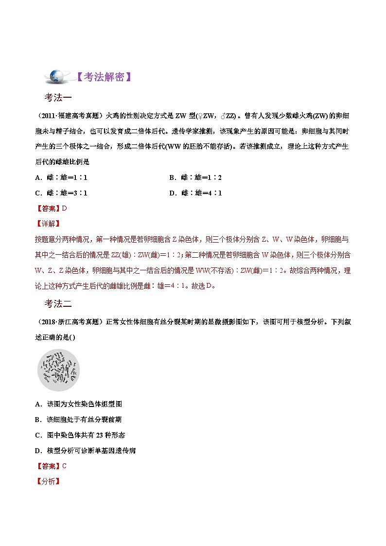 新高考生物二轮复习讲义12 人类遗传病及伴性遗传（含解析）第2页