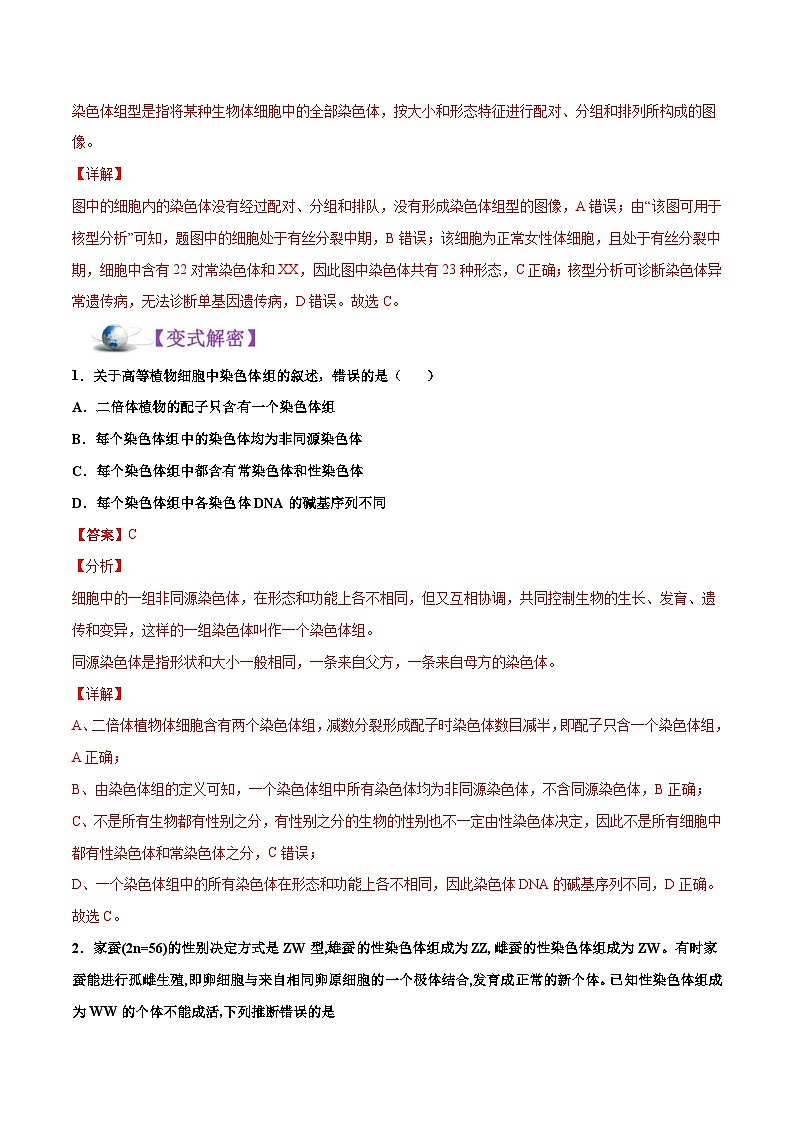 新高考生物二轮复习讲义12 人类遗传病及伴性遗传（含解析）第3页