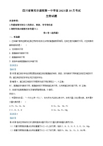 四川省南充市嘉陵第一中学2023-2024学年高一生物上学期10月月考试题（Word版附解析）