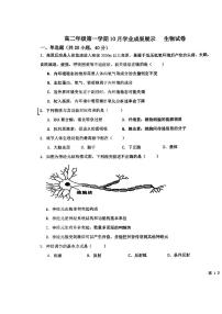 北京市顺义区第二中学2023-2024学年高二上学期10月学业成果展示生物试题（月考）