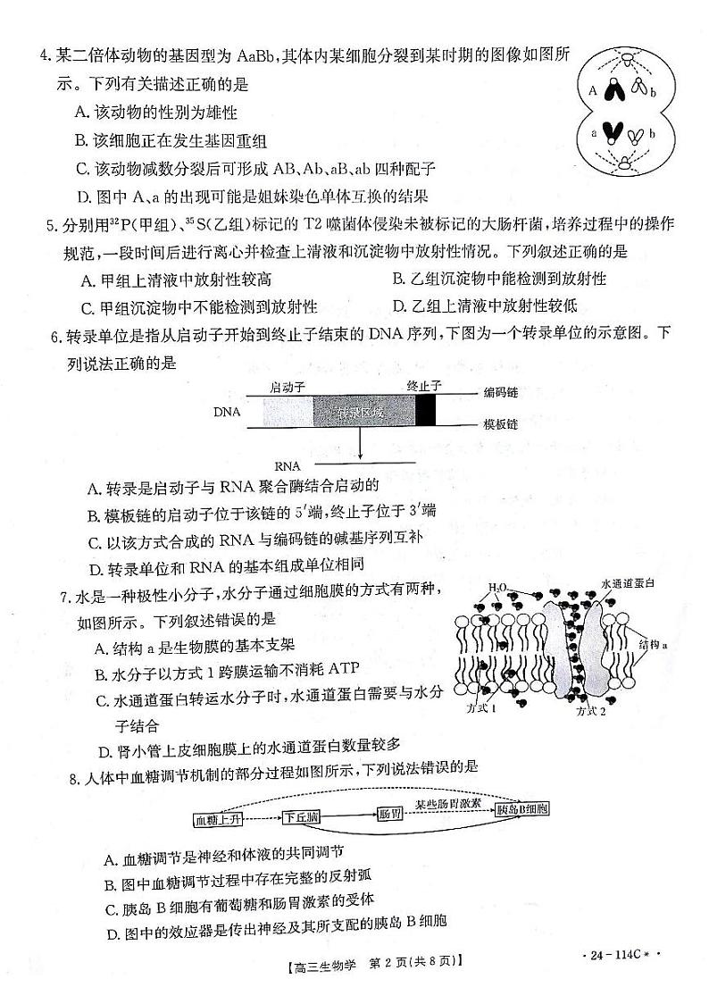 甘肃省白银市2023-2024学年高三生物上学期阶段检测（PDF版附答案）第2页