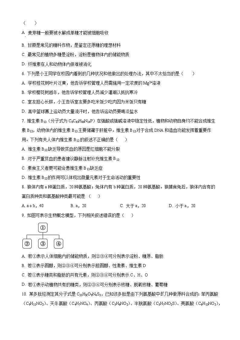 湖北省沙市中学2023-2024学年高一生物上学期10月月考试题（Word版附解析）02