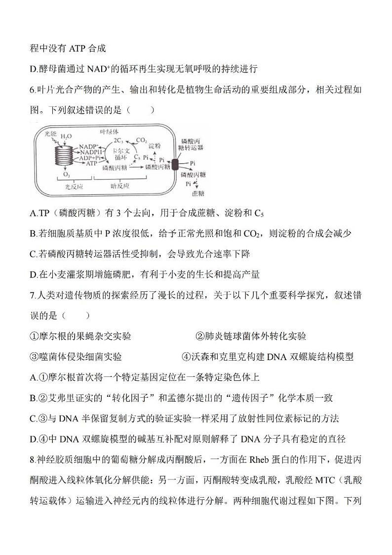 江苏省淮安市五校联盟2023-2024学年高三生物上学期10月学情调查测试（PDF版附答案）第3页