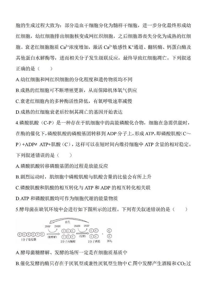 江苏省淮安市五校联盟2023-2024学年高三上学期10月学情调查测试 生物 PDF版含答案02