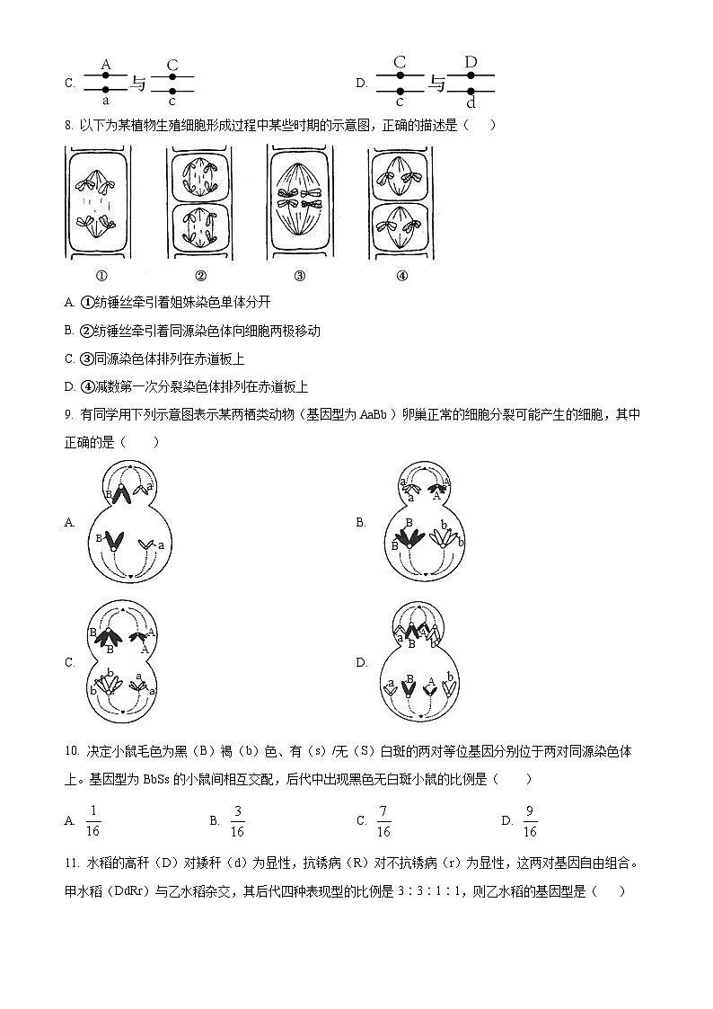 天津市静海区北师大实验学校2023-2024学年高三生物上学期第一阶段评估试题（Word版附解析）第3页